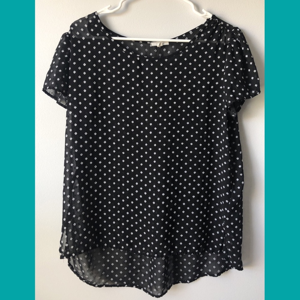 Pleione Black and White Dotted Sheer Top - Large
